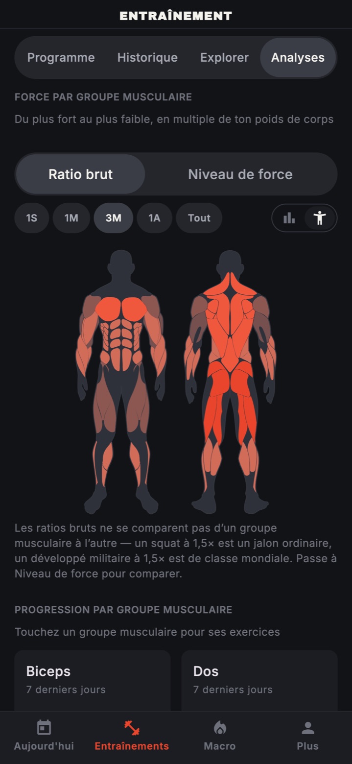 Analyses : force par groupe musculaire sur une carte du corps, chaque muscle ombré selon sa force par rapport au poids de corps.